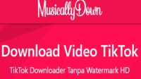 Cara Download Video TikTok MusicallyDown MP3 No Watermark