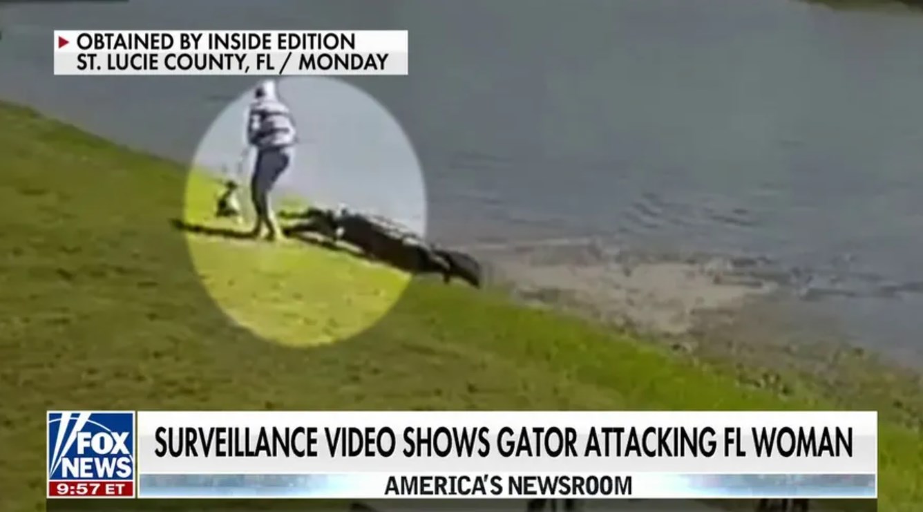 New Link 85 Year Old Woman Killed By Alligator Full Video