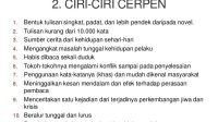 Sebutkan ciri-ciri cerpen